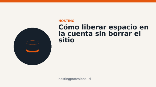 Dónde se acumula el espacio de una cuenta de hosting